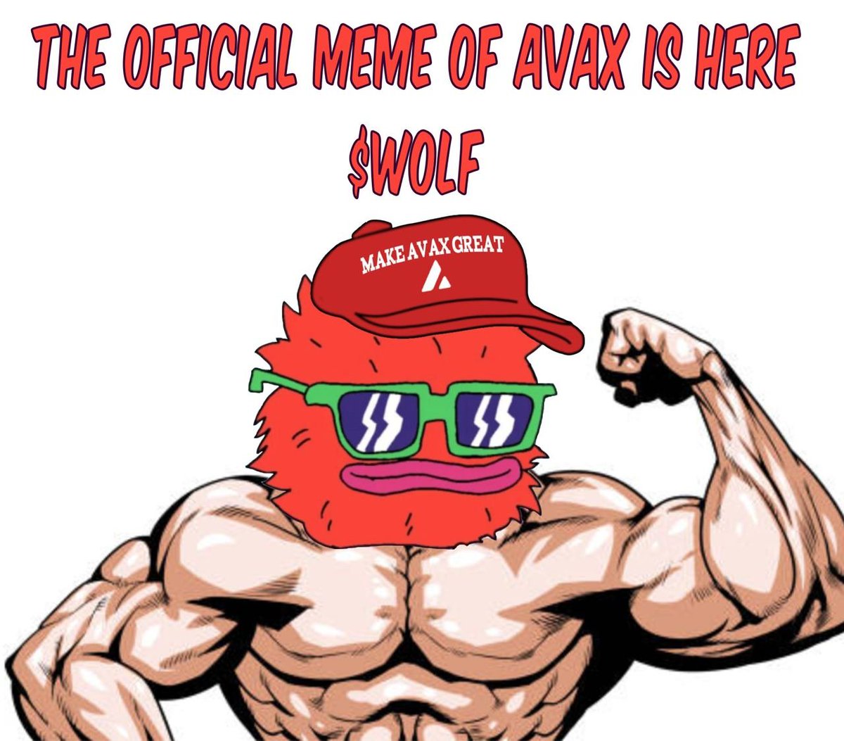 LANDWOLF 🔺 tweet media