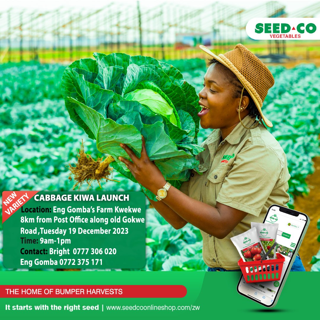 Seed Co Vegetables Zim tweet media
