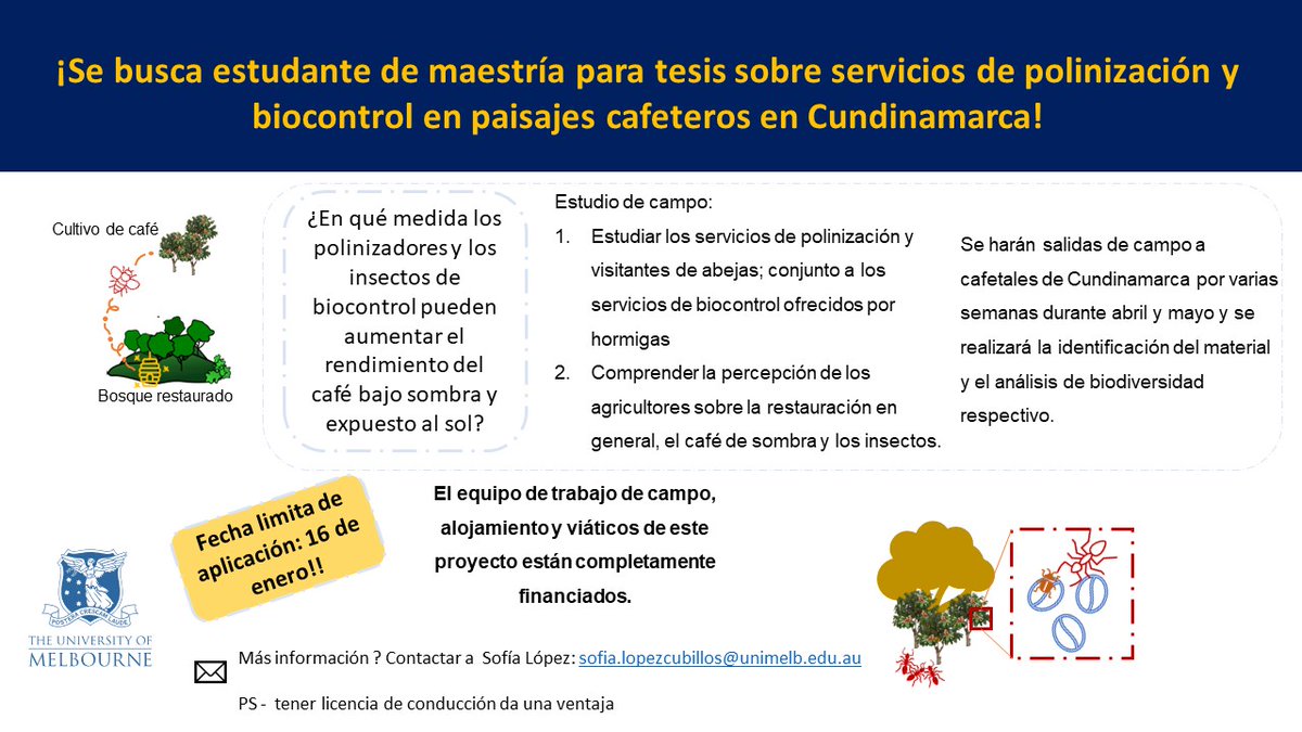 🚨¡CONVOCATORIA PARA ESTUDIANTES YA MATRICULADOS DE MAESTRIA! 🚨 Estamos buscando un(a) estudiante  interesad@ en evaluar servicios de polinización y biocontrol para café de Cundinamarca. El trabajo de campo empezaría aprox. mitad de abril. Fecha límite de aplicacción 15 de enero
