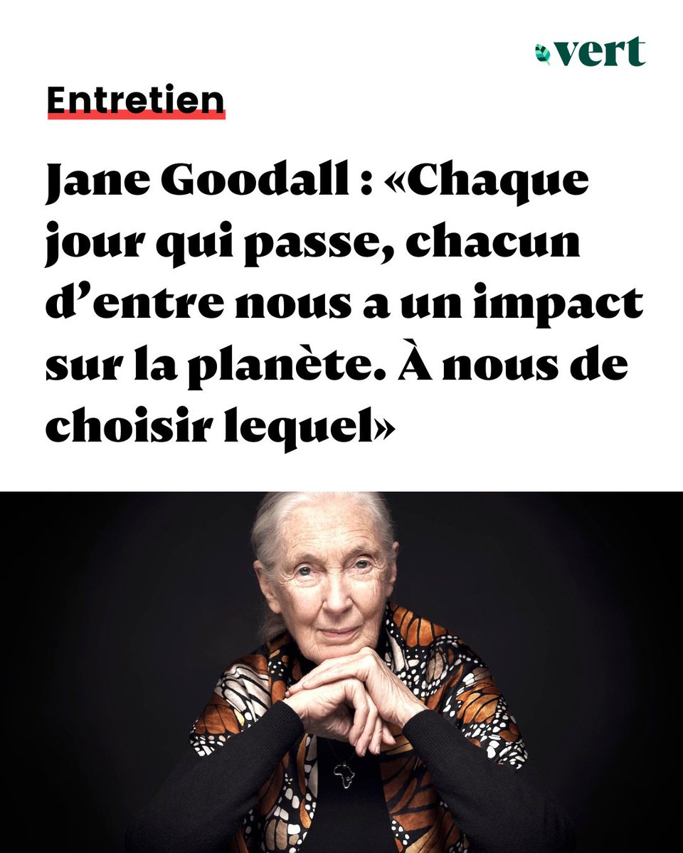 À 90 ans, la spécialiste des chimpanzés Jane Goodall arpente le monde pour alerter sur l’urgence de protéger le vivant. Elle nous raconte les raisons d’espérer et la nécessité d’agir. Découvrez notre entretien 👉 vert.eco/articles/jane-…