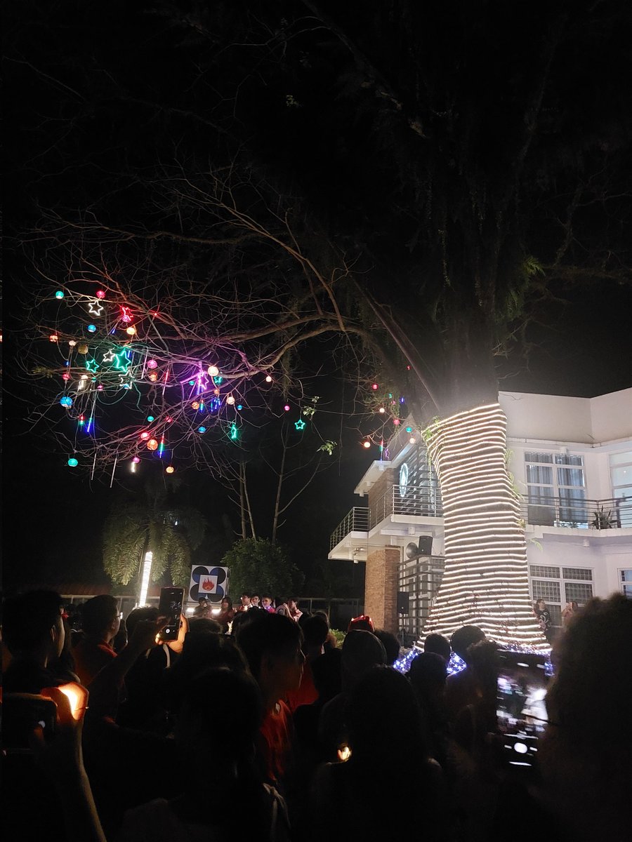 luifxg's tweet image. this idgaf tree