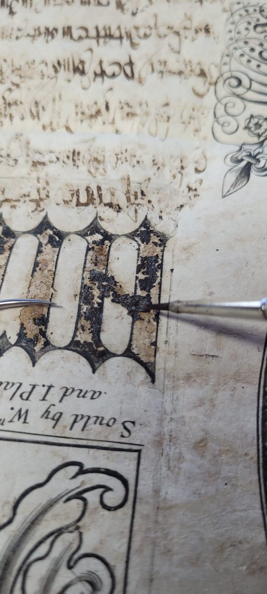 This parchment document has dried out and as a result the ink is lifting. Our #conservation staff and interns are busy trying to stick it back in place using gelatine.