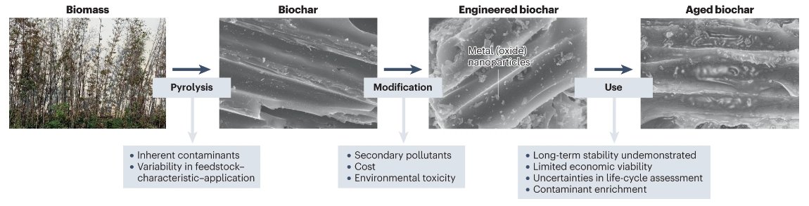 #Biochar is proposed as a promising solution for sustainable development, but proper risk management and careful evaluation are essential when considering its use: Comment by Guangcai Tan & Han-Qing Yu rdcu.be/dtHjj