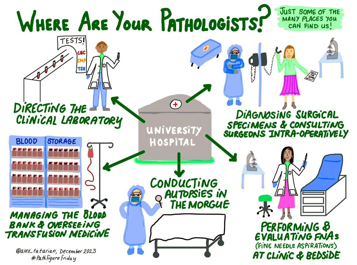 It’s #PathFigureFriday! 🔬 Please add any comments, corrections, or creations of your own!

Continuing the “Patient Interface” series…#PathXPatient! 👩🏻‍⚕️

#PathTwitter #PathX #MedX #SurgPath #Autopsy #Cytopath #FNA #LabMedicine #TransfusionMedicine

More:
kikoxp.com/posts/27708