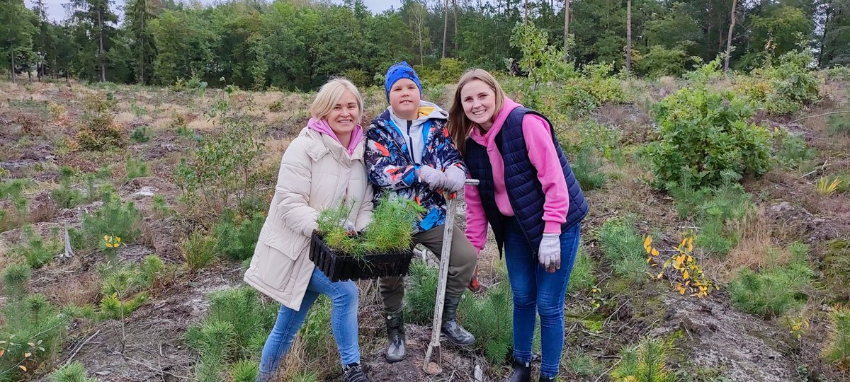 🌳 We do love how our #DataArt Forest Initiative is making waves across different countries 🫶🏻 
 
Our colleagues in Poland planted a whopping five hundred pine trees in the Fidest forest, around 60 km away from Warsaw 🌱