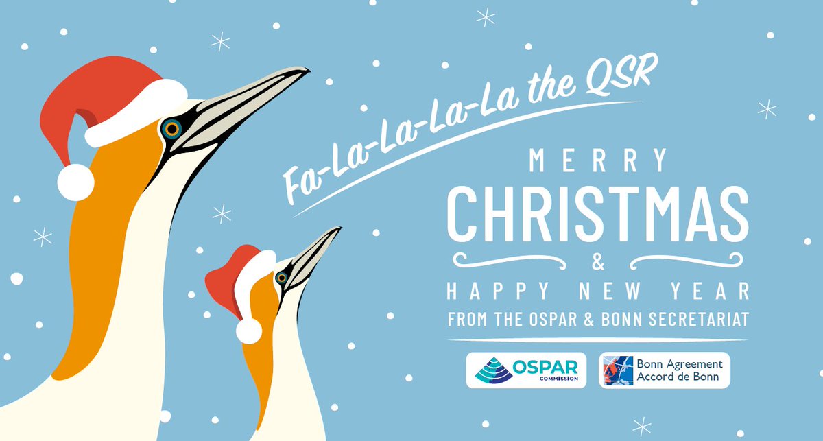 ospar.org/emails/fof48 Friday Ocean Findings Issue 48: Holiday greetings, implementing the OSPAR Strategy, @BonnAgreement priorities, and other news. #FridayOceanFindings #QSR2023 #OSPARprotects #BonnAgreement