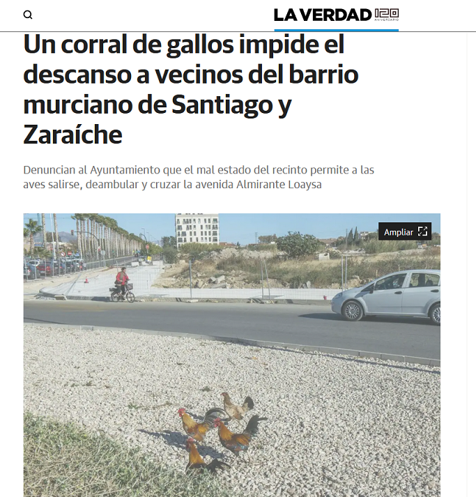 Tres meses sin dormir, tres meses quejándonos al <a href="/AytoMurcia/">Ayuntamiento de Murcia</a>. La solución es sencilla: la limpieza y vallado de los solares