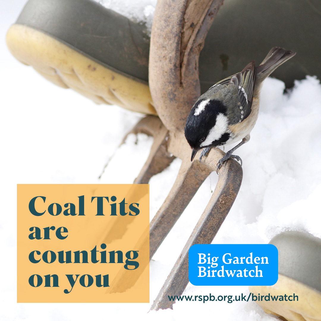 It’s that time of year again! #BigGardenBirdWatch is back. 

Whether you’re on a balcony up high, in your garden, or your local park, every count matters.

Sign up here ➡️ bit.ly/46WlKCw