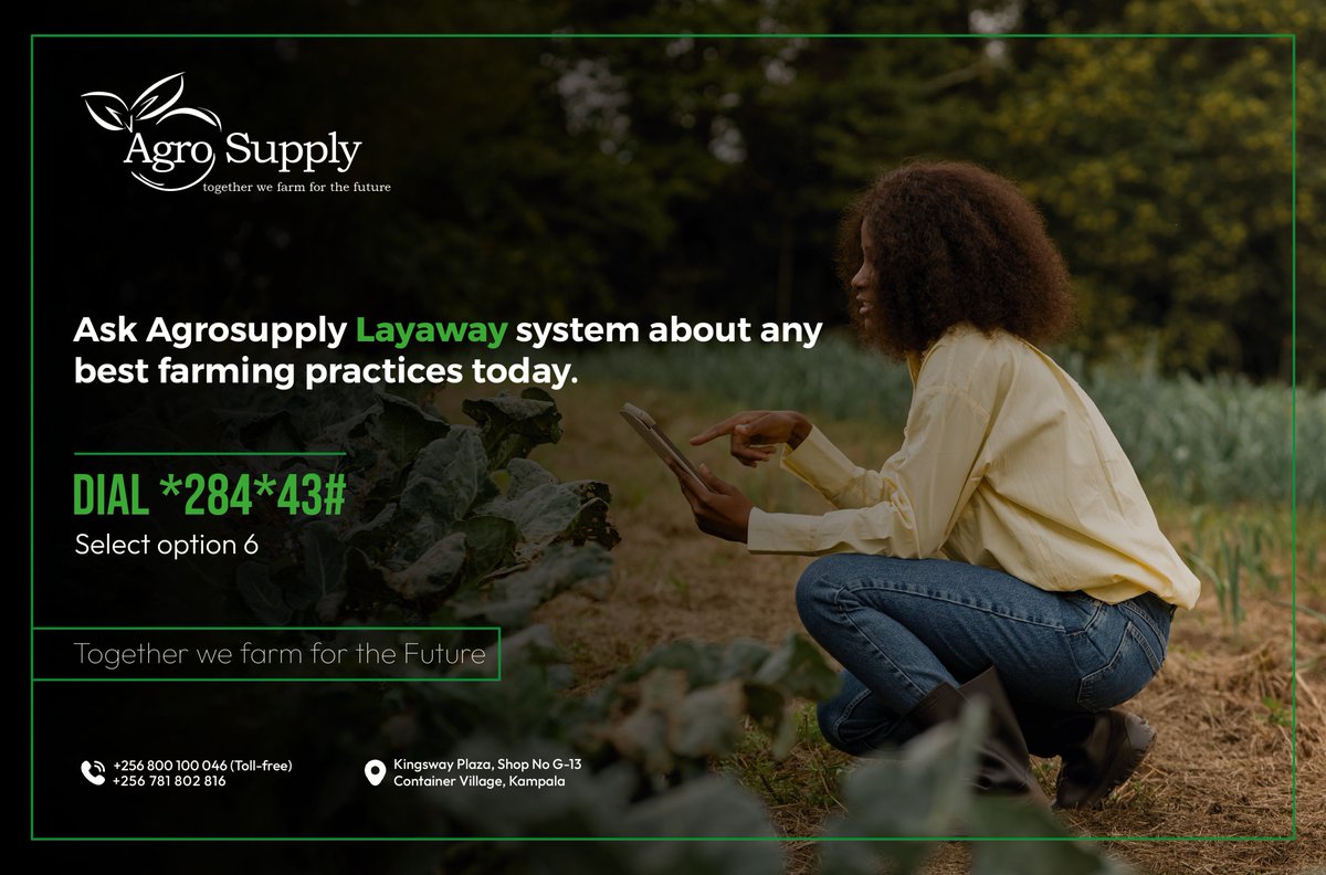 Access crucial farming information instantly during this harvest season with our layaway system. Dial *284*43# and select option 6 for quick responses and valuable guidance from our integrated AI, empowering you to make better decisions on the farm. #Farmingforthefuture