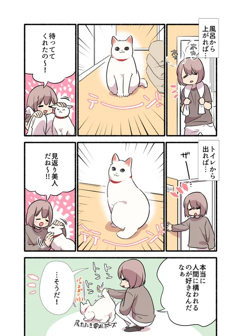 猫に全てを"理解"されている話 (1/2) #漫画が読めるハッシュタグ #愛されたがりの白猫ミコさん