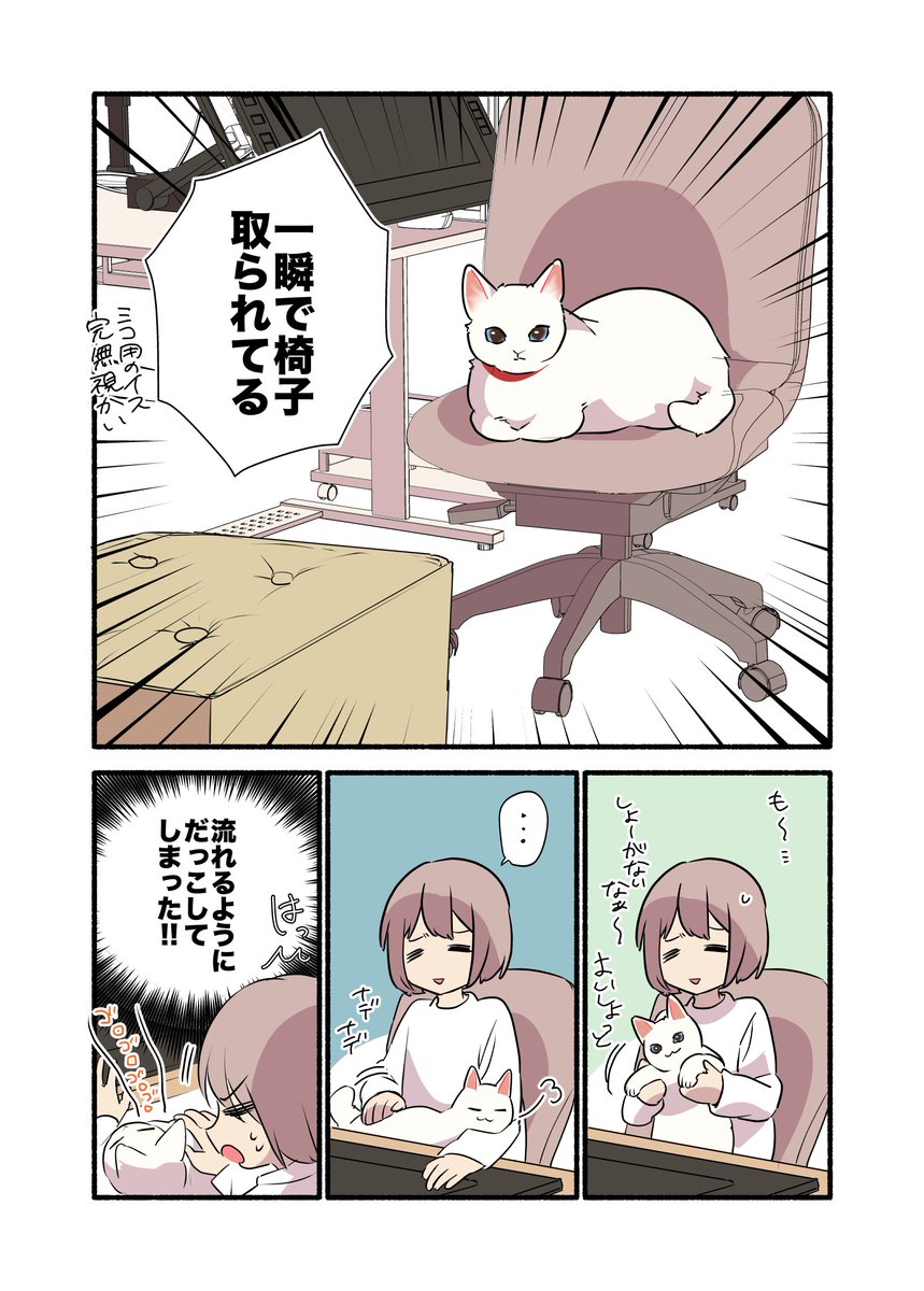 猫に全てを"理解"されている話 (1/2) #漫画が読めるハッシュタグ #愛されたがりの白猫ミコさん