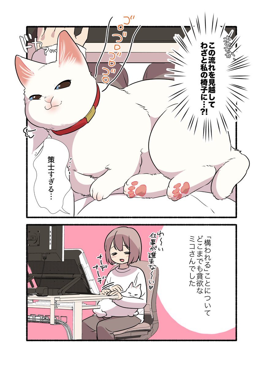 猫に全てを"理解"されている話 (1/2) #漫画が読めるハッシュタグ #愛されたがりの白猫ミコさん