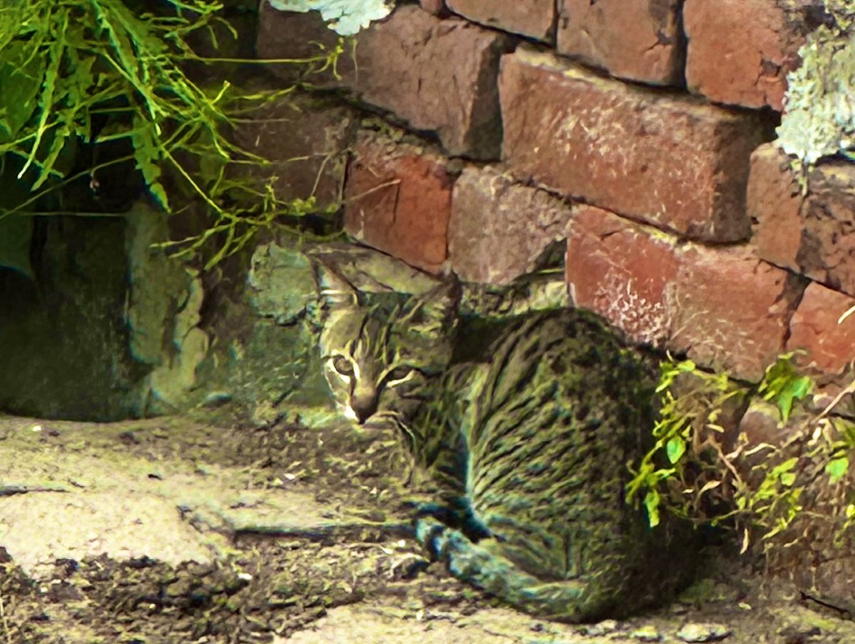 tech_pandit's tweet image. Kya dekhte ho 😊😍