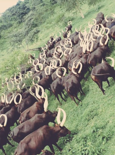 Its already merry in the country side 🎡