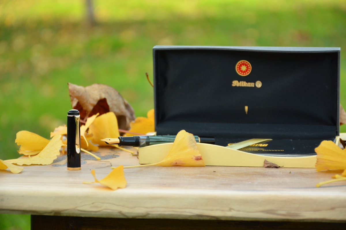 Pelikan Dolma Kalem 10.cumhurbaşkanımız imzalı..Pelikandan reklam ücretimi isterim☺️ #pelikan #bist100 #satılık #borsa #Fenerbahce #galatasaray #trabzonspor #beşiktaş #cumhurbaşkanı #imza