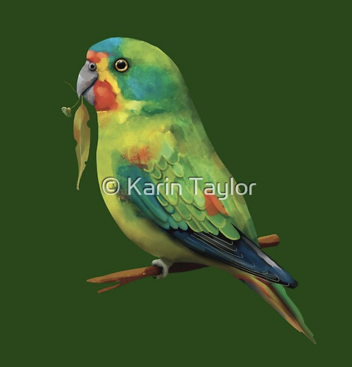 Karintaylor's tweet image. Swift Parrot prints tshirts, posters, stickers available redbubble.com/shop/ap/156169…
#rbandme #swiftparrot #criticallyendangered #criticallyendangeredswiftparrot #2023birdoftheyear #swiftparrottshirts #swiftparrotprints #swiftparrotpaintings #swiftparrotartworks  #swiftparrotsticker