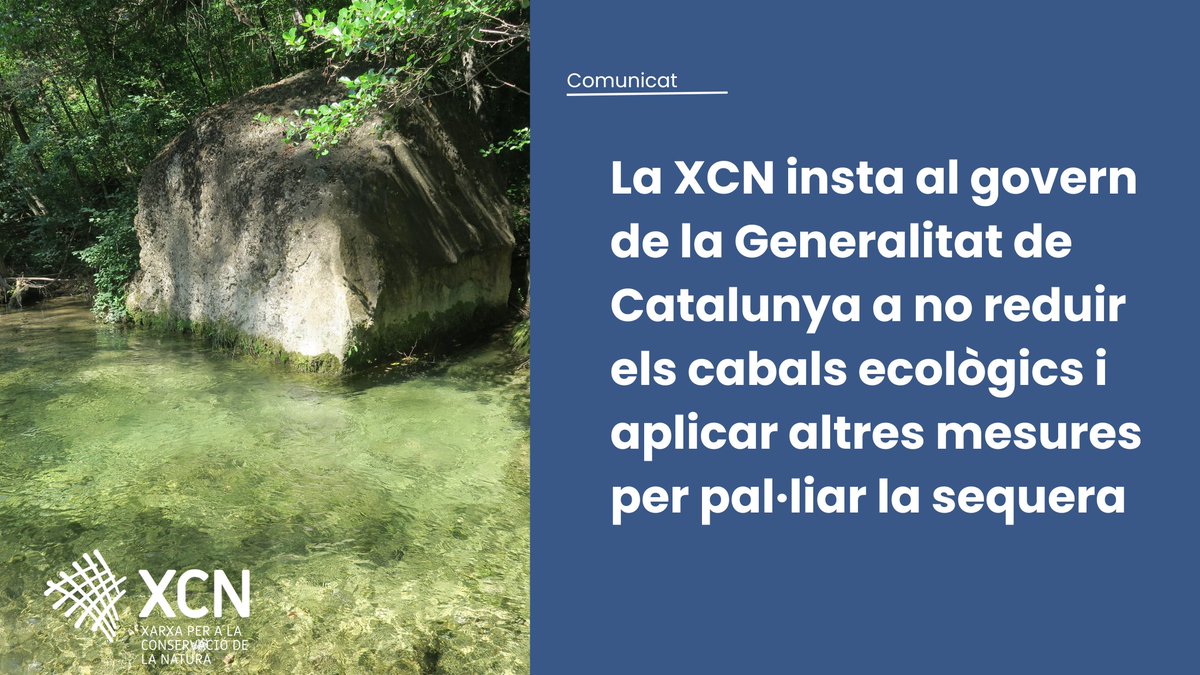 📢 Davant l'anunci d'<a href="/accioclimatica/">Assemblea d'acció climàtica</a> de reduir els cabals d'emergència per fer front a la sequera demanem al govern que prioritzi altres mesures i no redueixi els cabals ecològics, evitant danys irreparables als ecosistemes fluvials

⬇️🧵
xcn.cat/wp-content/upl…