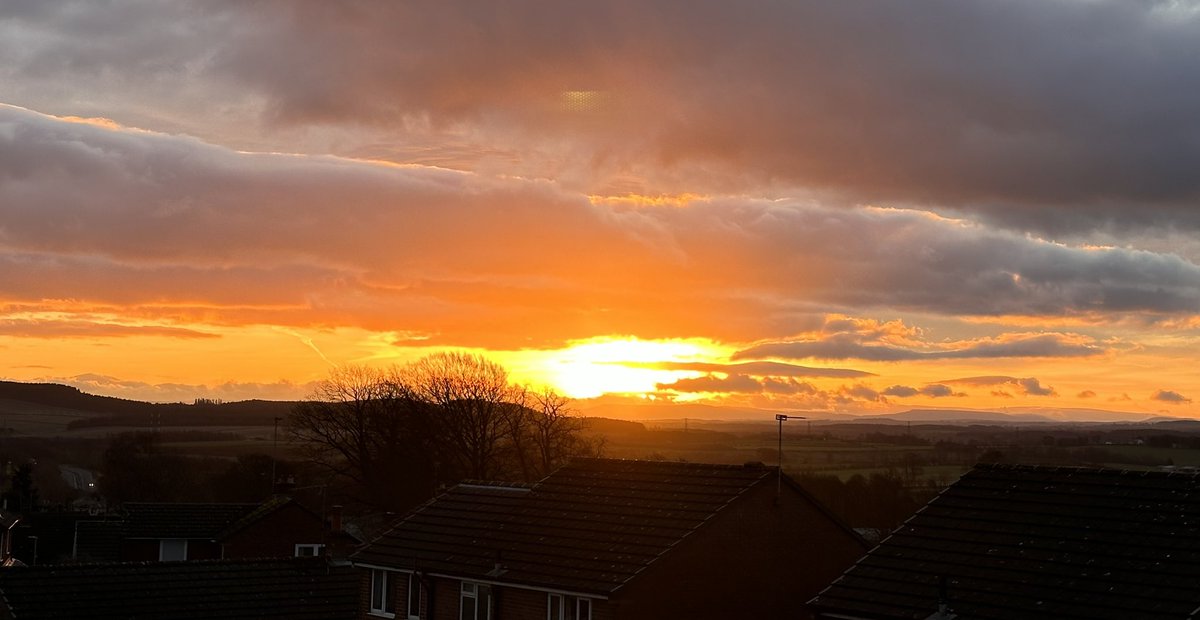 #Lakelandsunrise “What I know for sure is that every sunrise is like a new page, a chance to right ourselves and receive each day in all its glory. Each day is a wonder.”