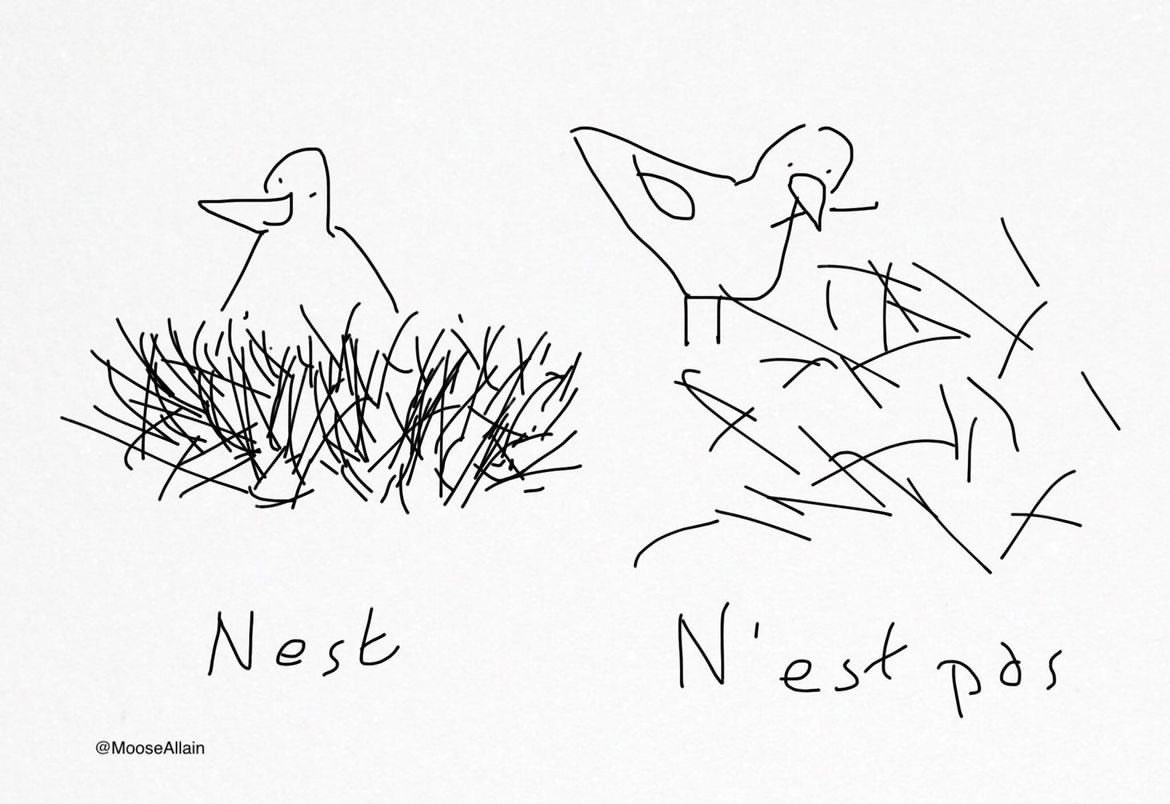 Nest