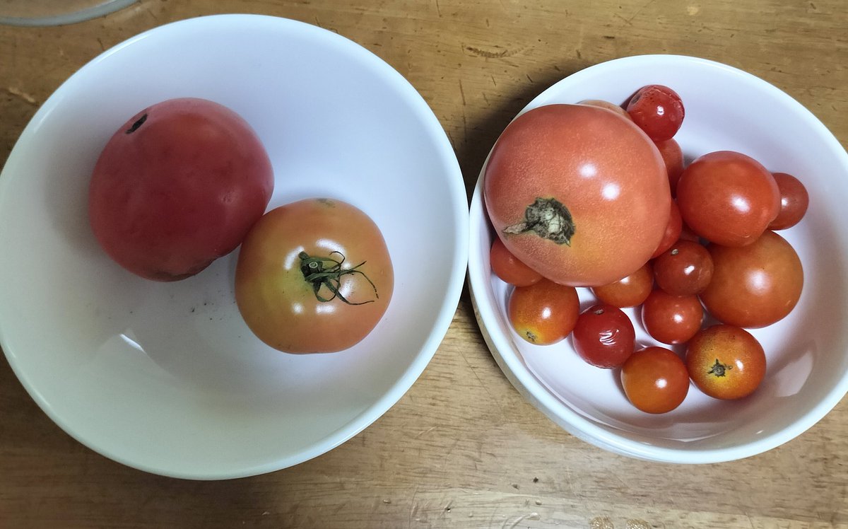 しゃぶ葉昨日。 食べ残しゼロなんて 新しい企画が 始まってました