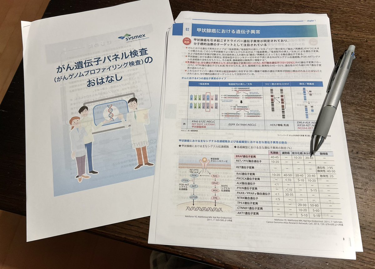 プリントしたままになっていた遺伝子検査に関する資料、今日やっと読みました。以前受けたことのある「オンコマイン検査」と、最近受けた「がん遺伝子パネル検査」、それと「がんゲノムプロファイリング検査」、この３つの違いが分からずモヤモヤしてたのがスッキリしました。