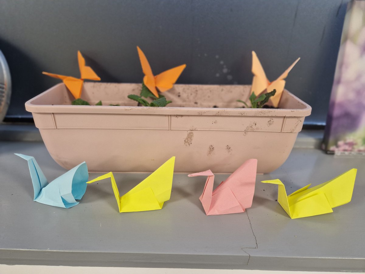 James Murphy (@cjs_james) on Twitter photo Some of the origami swans & butterflies made by delegates during a coaching exercise on day 5 of our training for staff involved in the delivery of CPO's <a href="/ComJusScot/">CommunityJusticeScot</a> #communityfirstfriday another really enjoyable course with excellent staff from 5 LA's across Lothian & Borders. Some of the origami swans & butterflies made by delegates during a coaching exercise on day 5 of our training for staff involved in the delivery of CPO's <a href="/ComJusScot/">CommunityJusticeScot</a> #communityfirstfriday another really enjoyable course with excellent staff from 5 LA's across Lothian & Borders.