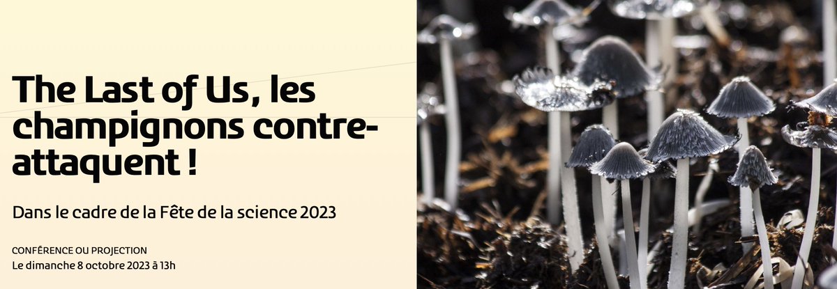 Adrien Hamandjian, doctorant dans l'équipe Génomique Fonctionnelle des Champignons Phytopathogènes du MAP, partage son expérience très réussie de médiation scientifique lors de sa conférence grand public au Musée des Confluence + de 2000 visiteurs ! BRAVO Adrien pour ce succès !