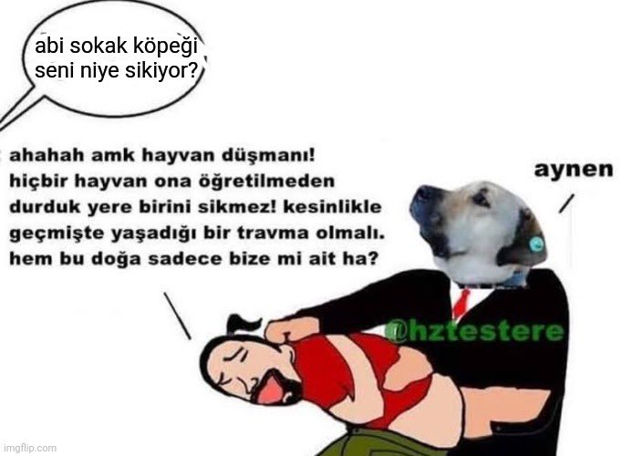 Berkowski (@uefabaskani) on Twitter photo 