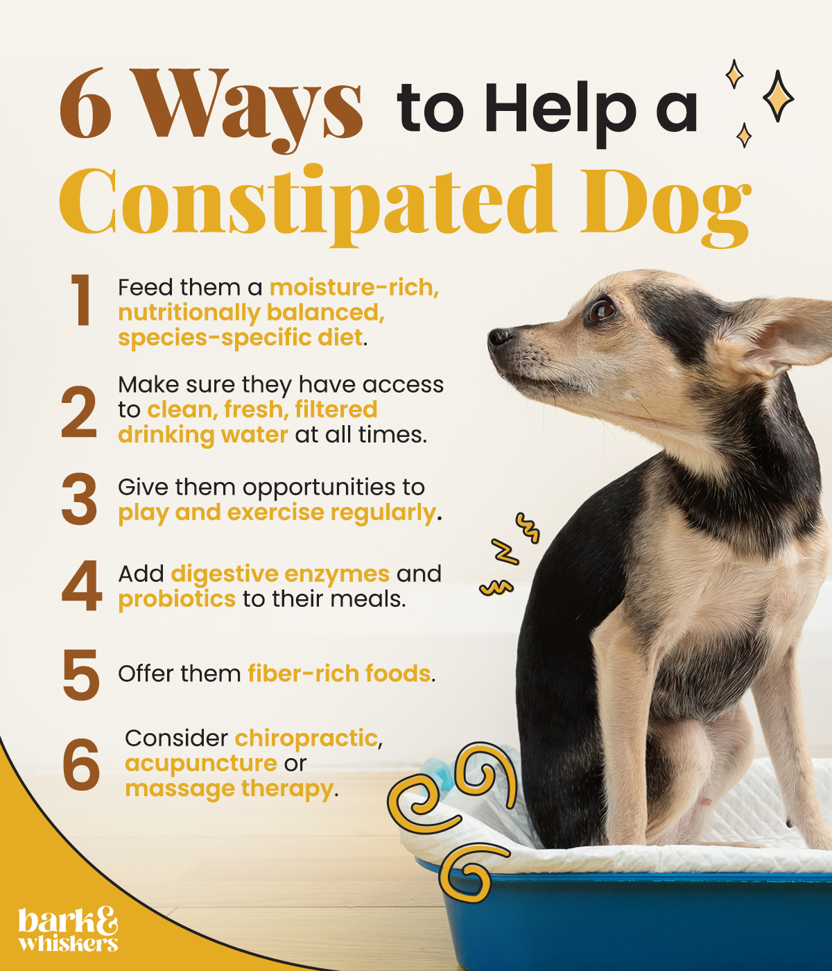 What to give dogs hotsell when they are constipated