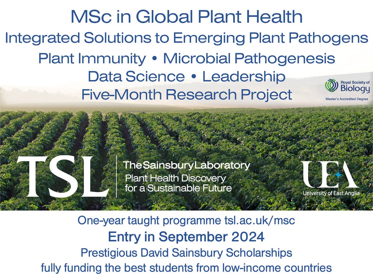 One-year taught MSc in Global Plant Health. Apply now for 23 September 2024 entry. Learn from @talbotLabTSL @JonathanDGJones @KamounLab @WenboEffector @Frank_Menke Cyril Zipfel, Dan MacLean & guest lecturers. tsl.ac.uk/msc @BioUEA