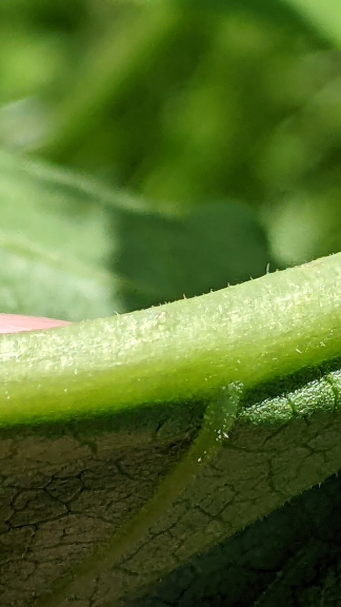 Mike Beard tweet media