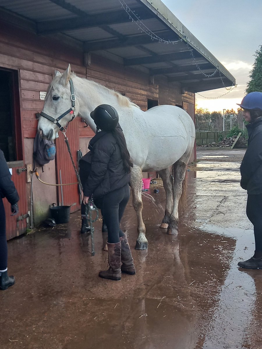 Horse Care pupils grooming muddy legs today. Their engagement with this course even on a cold damp day is lovely to watch. Proud of them!