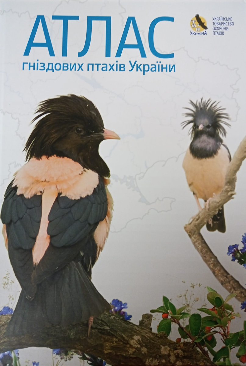 👍Rivista Italiana di Ornitologia (Research in Ornithology) published Flavio Ferlini's review dedicated to the Breeding Bird Atlas of Ukraine 👇sisn.pagepress.org/index.php/rio/…