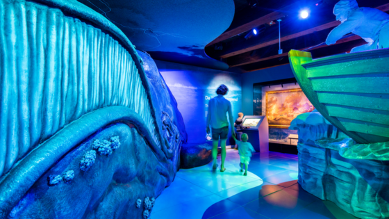 Het Scheepvaartmuseum tweet media