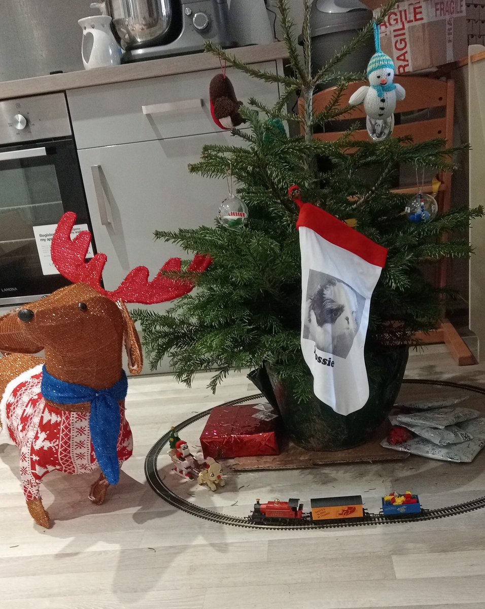 BearFlossie's tweet image. #christmasdecor #TECKNET #Christmas #Giveaway