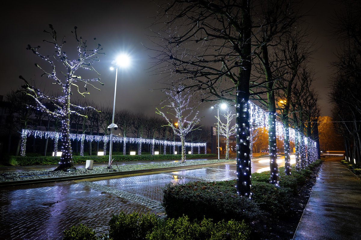 Stockley Park is a beautiful place to be, but at night it's extra special! 🎄✨#StockleyPark
