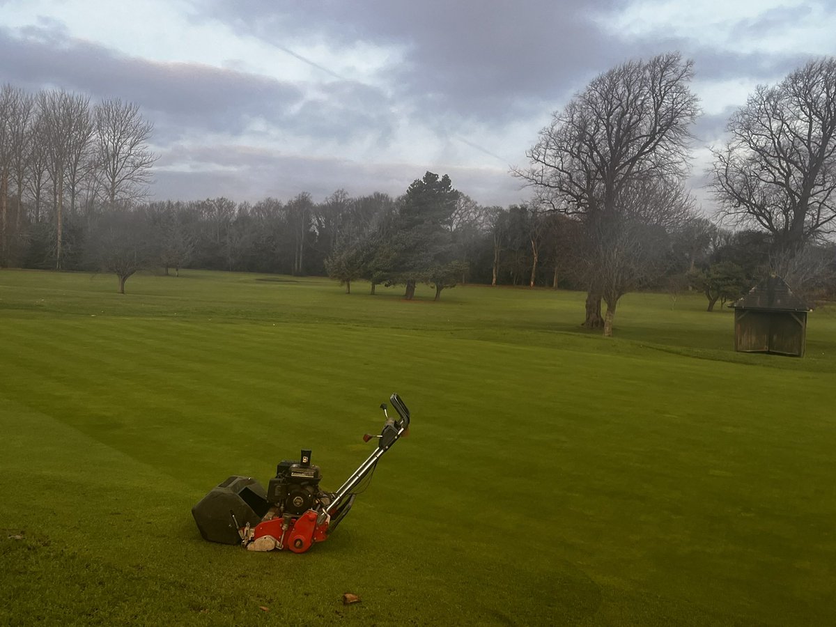 Main greens hand cut this morning.