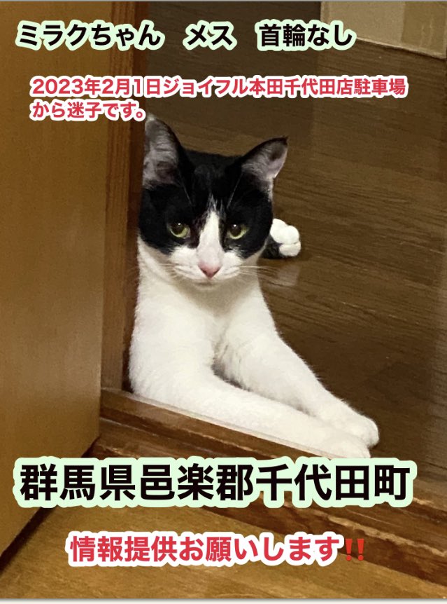 tencat22's tweet photo. 🙏#拡散RTお願いします 
2023年2月1日
迷子になった場所は　#群馬県 #埼玉県
#栃木県 #茨城県 の県境付近です。
周りが田んぼのため、広範囲に移動している可能性もあります。付近の皆様のご協力をお願い致します。白黒のハチワレ猫を目撃されたら飼い主様までご連絡お願い致します🙇‍��️ https://t.co/tbsGt1GHJJ