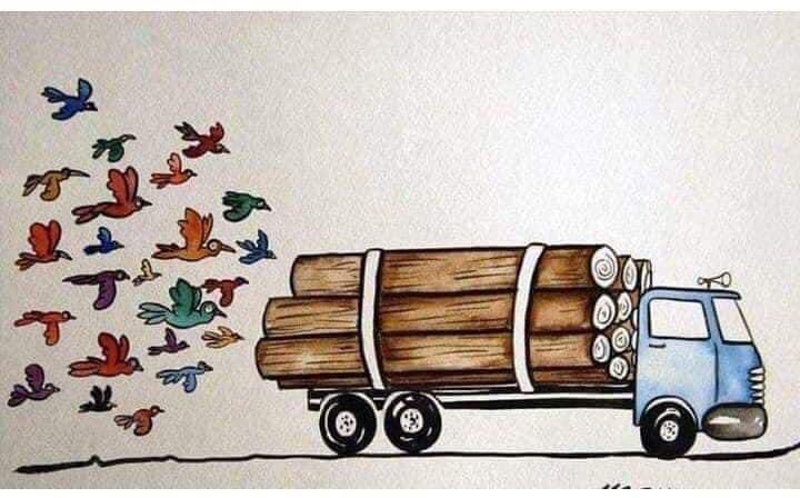 ChhotiKavita's tweet image. तुम परिंदों का दुःख नहीं समझे
पेड़ पर घोंसला नहीं घर था...

◆ अज्ञात