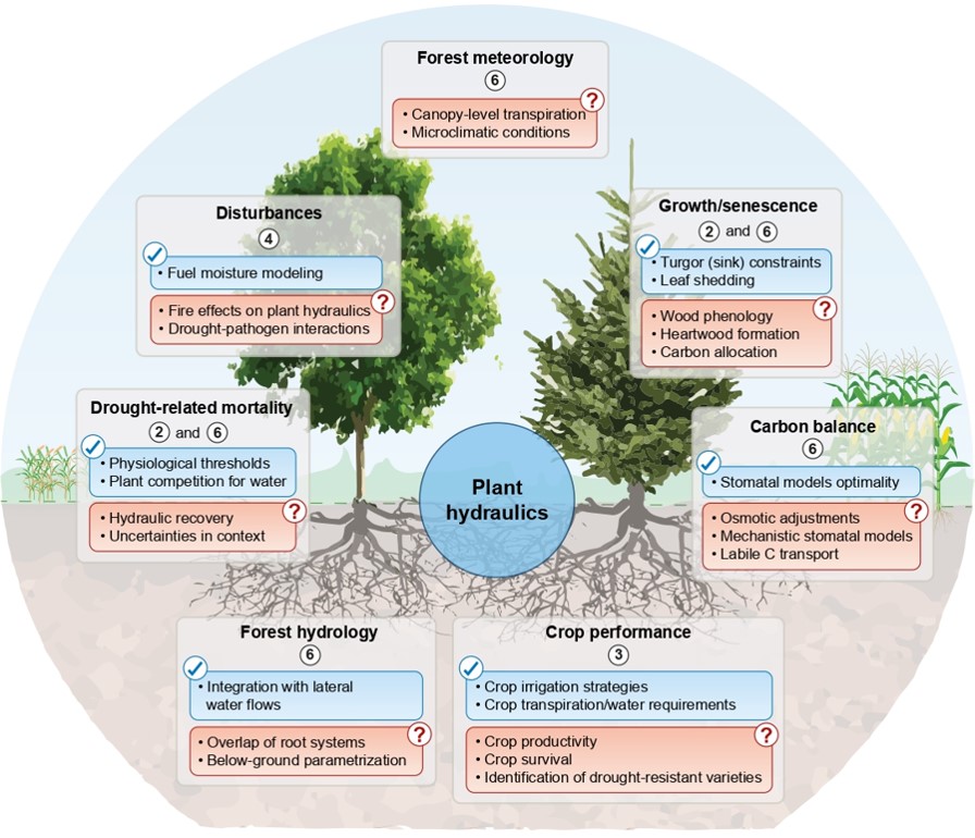 José M. Torres-Ruiz (@torresruizjm) on Twitter photo Deepening our understanding of plant water transport is crucial to deciphering their resilience to environmental stress factors such as:
#drought 🌞
#fire 🔥
#diseases 🪲
📰+ details in our #TansleyReview in <a href="/NewPhyt/">New Phytologist</a>
👇
nph.onlinelibrary.wiley.com/doi/10.1111/np…
#PlantEcophys #PlantSci Deepening our understanding of plant water transport is crucial to deciphering their resilience to environmental stress factors such as:
#drought 🌞
#fire 🔥
#diseases 🪲
📰+ details in our #TansleyReview in <a href="/NewPhyt/">New Phytologist</a>
👇
nph.onlinelibrary.wiley.com/doi/10.1111/np…
#PlantEcophys #PlantSci