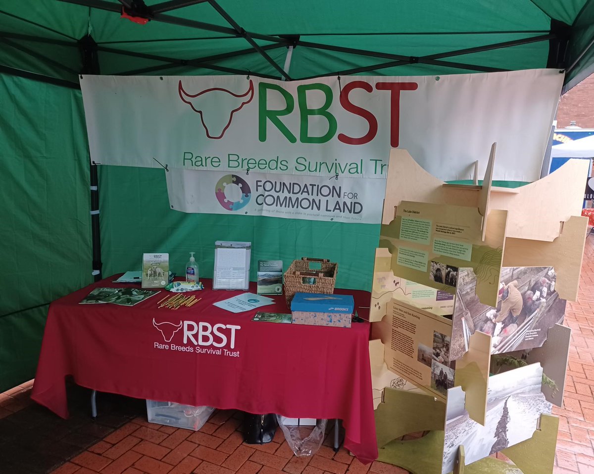 We had a great turnout at Barrows Natural Christmas Market on Saturday with the @RBSTrarebreeds The #DerbyshireGritstone, #HampshireDown, #CastlemilkMoorit, #Hebridean and #Teeswater brought smiles to many on a wet and windy day Thanks to @HeritageFundNOR for funding