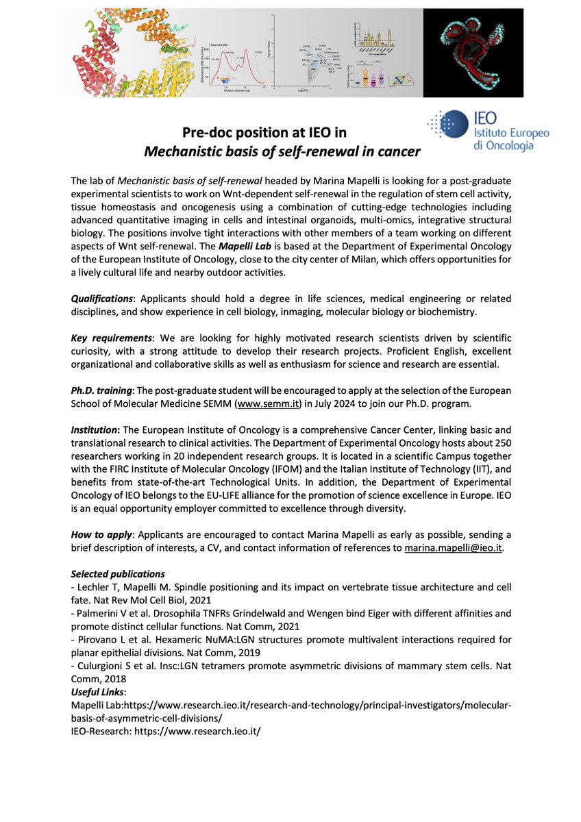 We are hiring!! 📢 A Predoc position is available in the lab to bridge toward Ph.D. fellowships by Oct. 2024.  All at the intersection of mechanistics of self-renewal, stem cells and cancer. Links to apply below