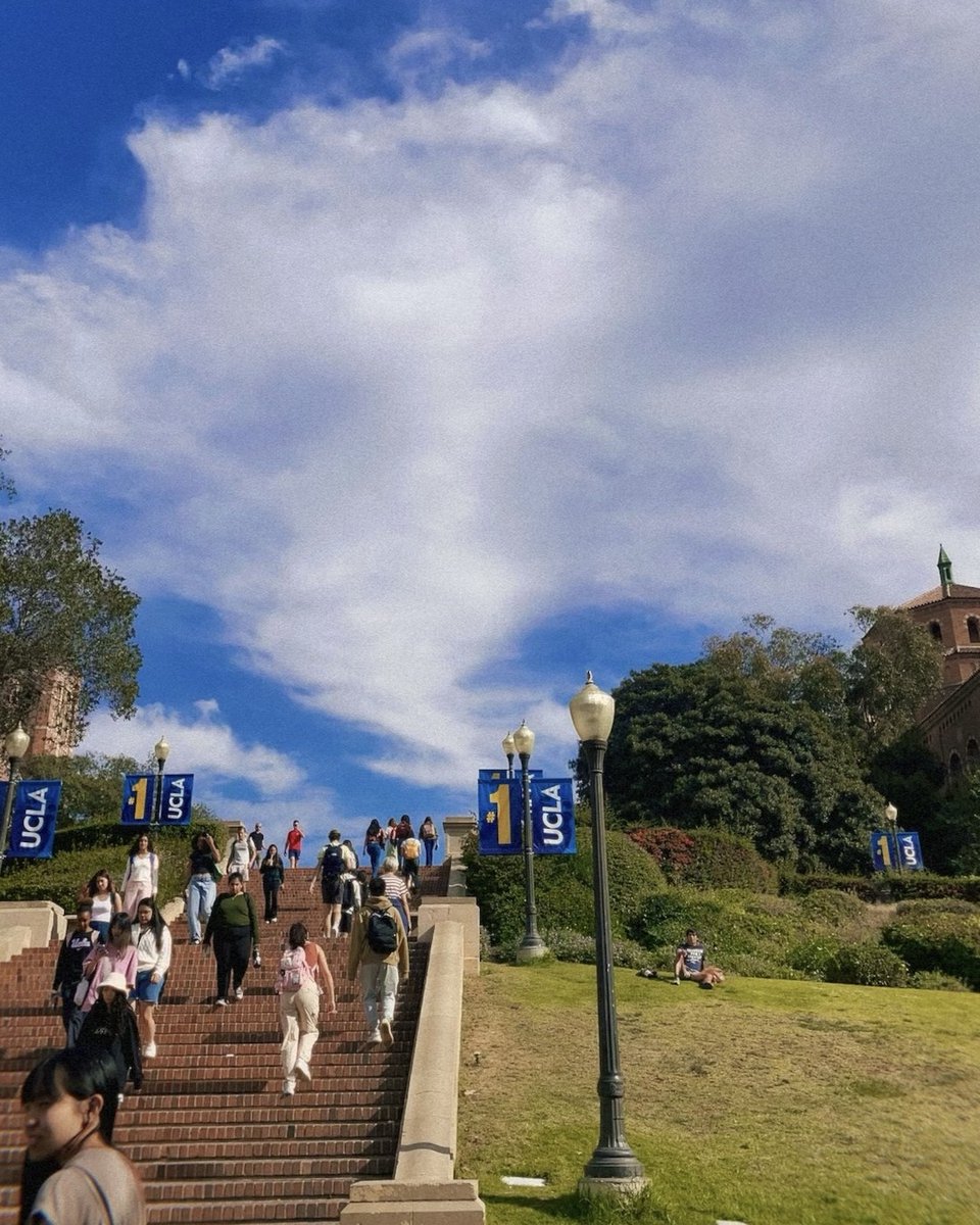 and that's a wrap on fall quarter! 🍂

📸 @udonphoto

#ucla #sceneatucla #fall