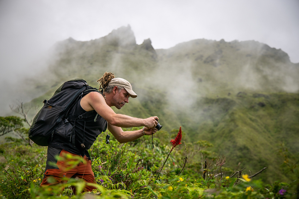 De nouvelles aventures chaque jour 🗺️☀️

Another day, another adventure 🗺️☀️

📍Montagne Pelée

#UNESCO #UNESCOWorldHeritageSite #GoMartinique #MartiniqueTourisme #MartiniqueMagnifique