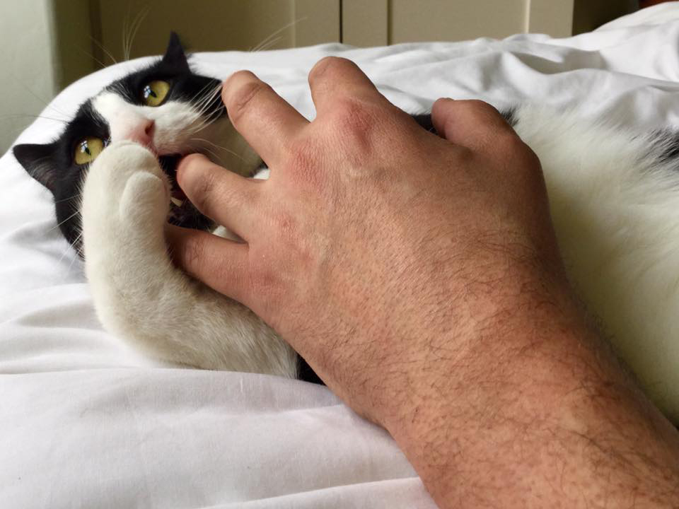 PeerQ ⛰️🚲 tweet media