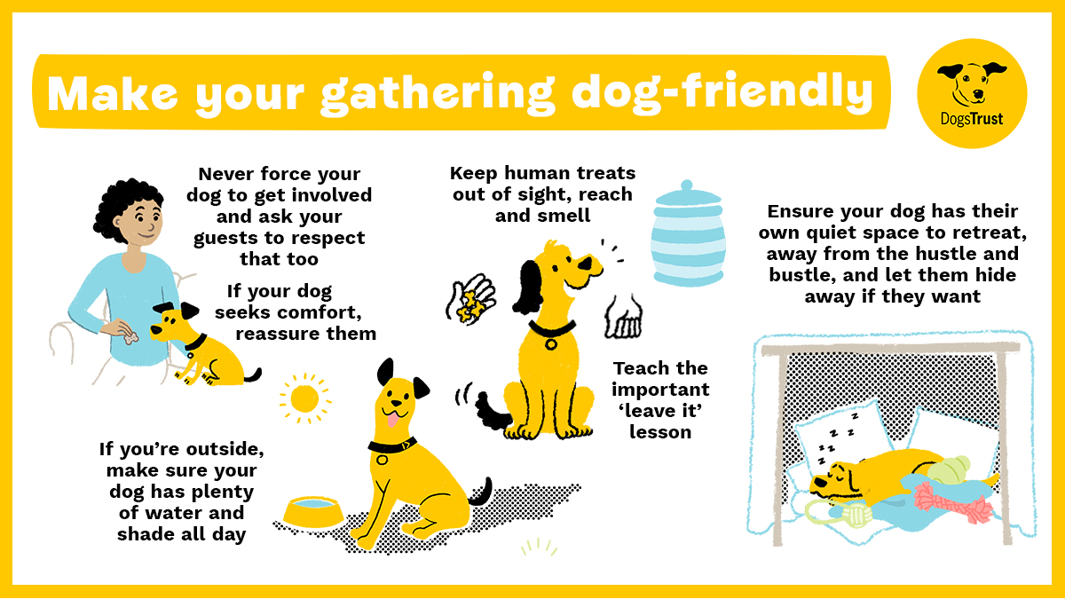 Don’t forget to include your four-legged friends’ needs while planning your festive gatherings. Check out our expert advice on creating a welcoming space for your furry guests. Let the tail-wagging festivities begin! 🐕🥳