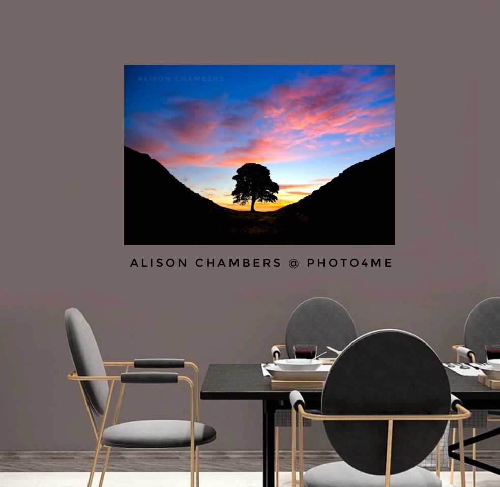 💥💥All Sycamore gap art is now on sale at a reduced price from £19.55 + 15% off on Photo4Me guaranteed Christmas delivery until the 17th! 💥💥
Sycamore Gap from; shop.photo4me.com/1288969 & alisonchambers2.redbubble.com & 2-alison-chambers.pixels.com #sycamoregap #sycamoregapnorthumberland