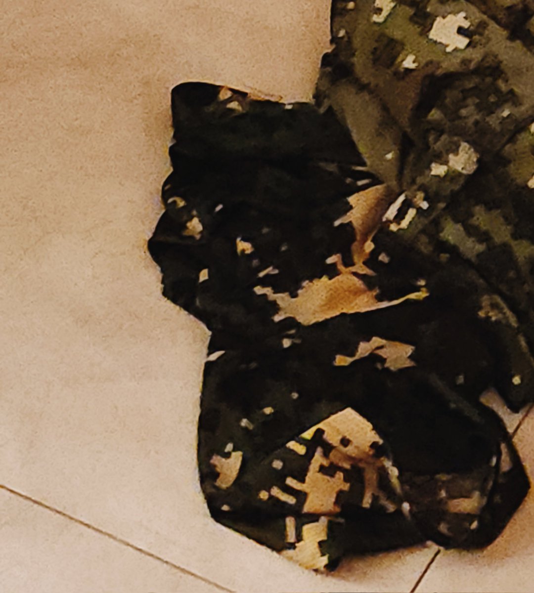 병사들 좆물은 냄새가 존나 역할정도로 진한데 맛은 좋단말이지