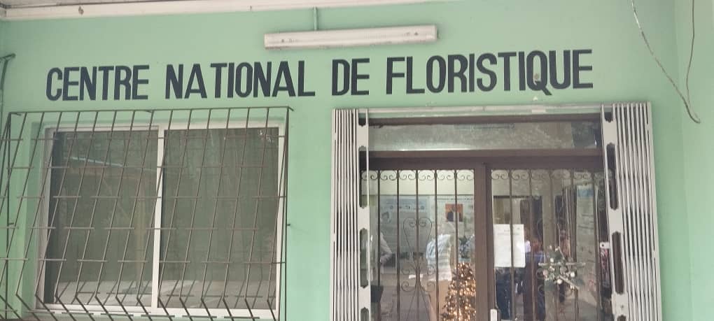 Un îlot de biodiversité se niche à l'université FHB de Cocody.+sieurs espèces en voie d'extinction sont conservées dans ce lieu, dont "cola Lourougnonis",plante rare qui ne pousse seulement qu'en #CIV, utilisée dans la médecine traditionnelle, l’artisanat #TerraAfrica <a href="/CFImedias/">CFImedias</a>