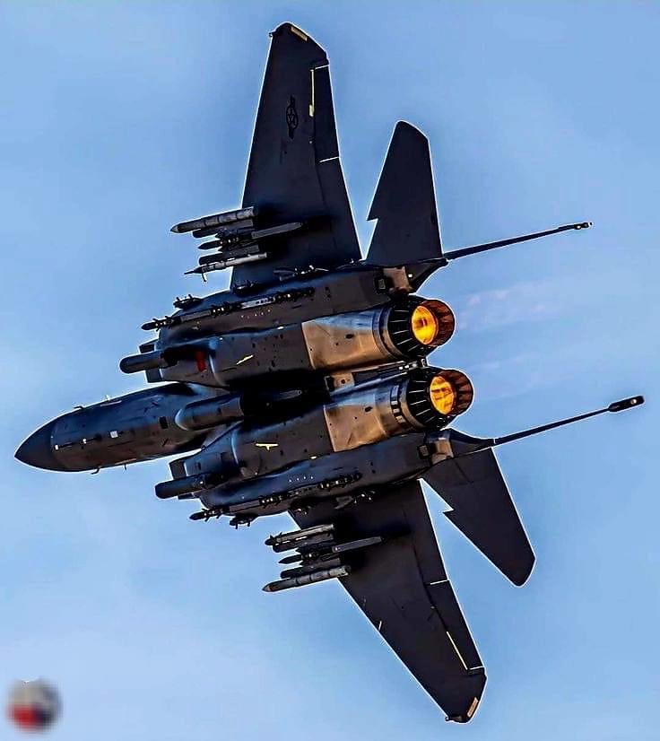 Chris Bolton tweet media